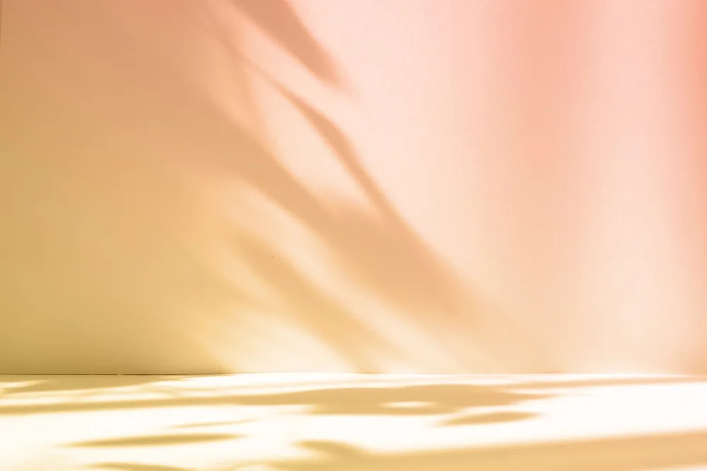 Licht und Schatten: Die Regisseure der Farbe